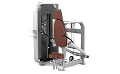 SH-G6708L三头肌训练器(LED版)